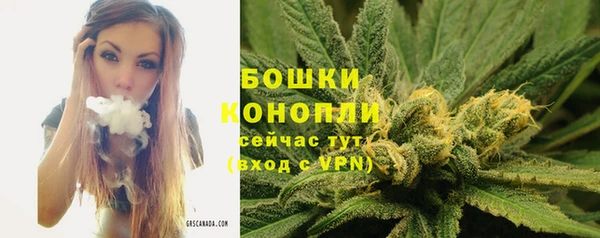 стафф Богданович